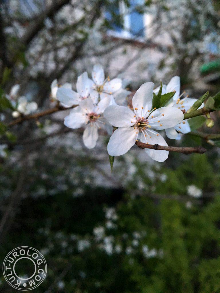 printemps