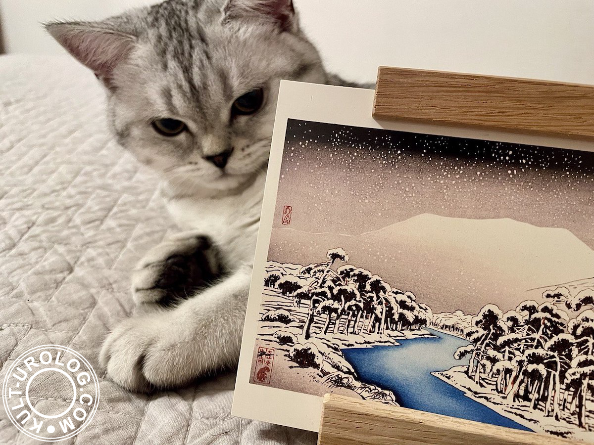 Ibuki Mountain & Snow